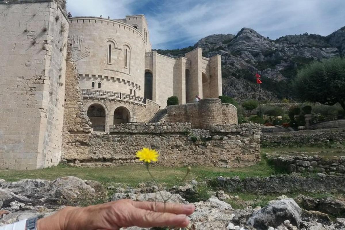 a hand holding a yellow flower in front of a castle