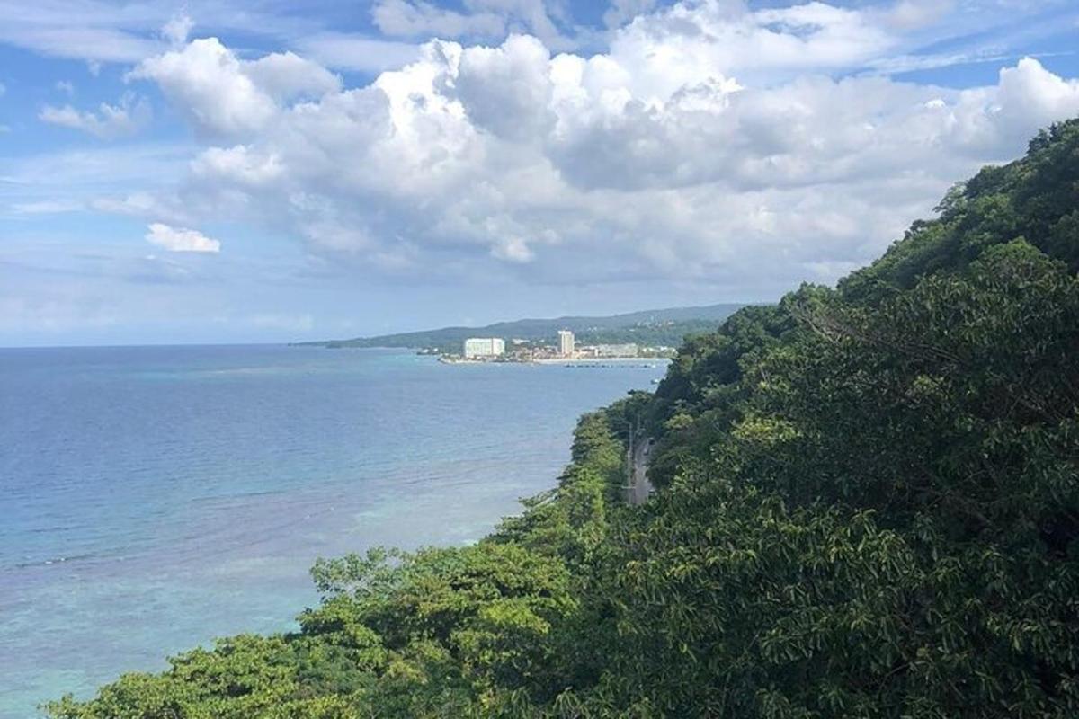 pemandangan laut dari bukit dengan pepohonan
