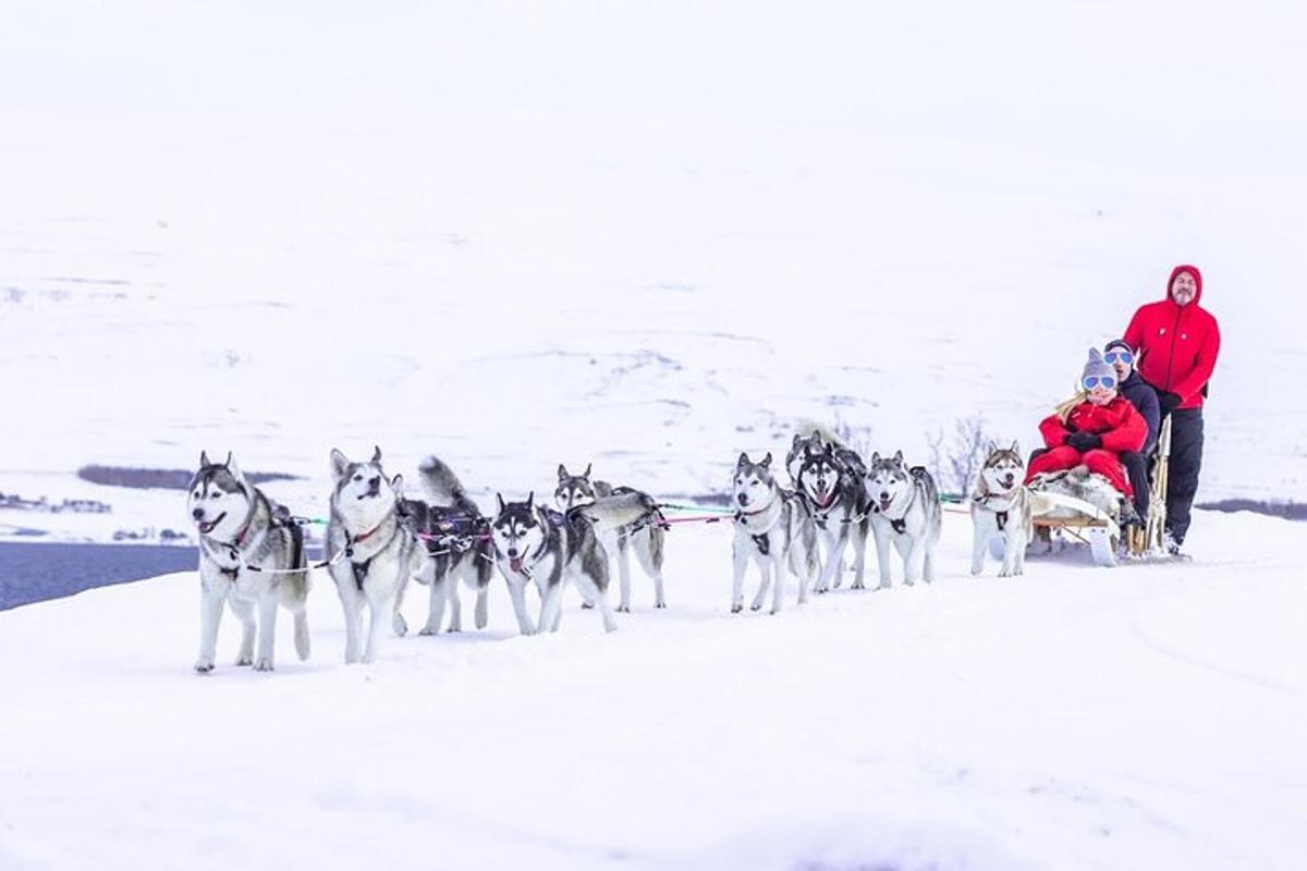 Un equipo de perros esquimales tirando de un trineo en la nieve