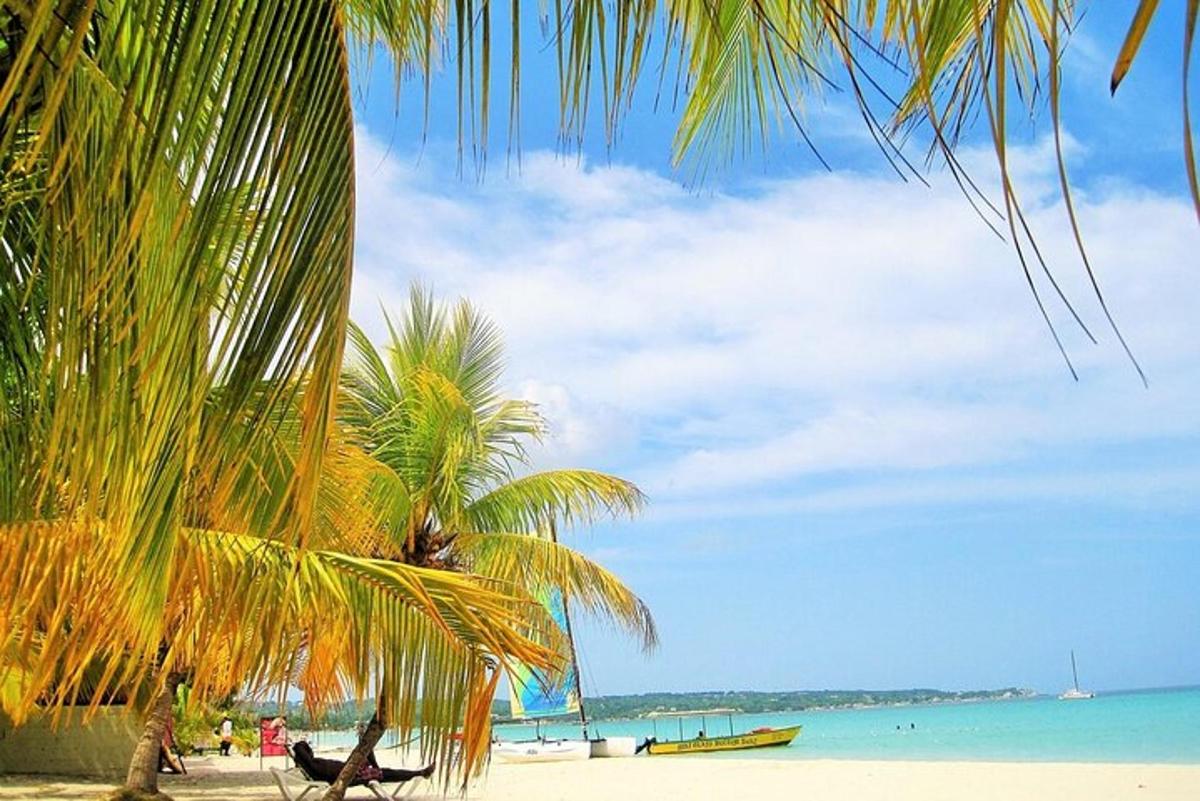 pokok palma di pantai dengan lautan