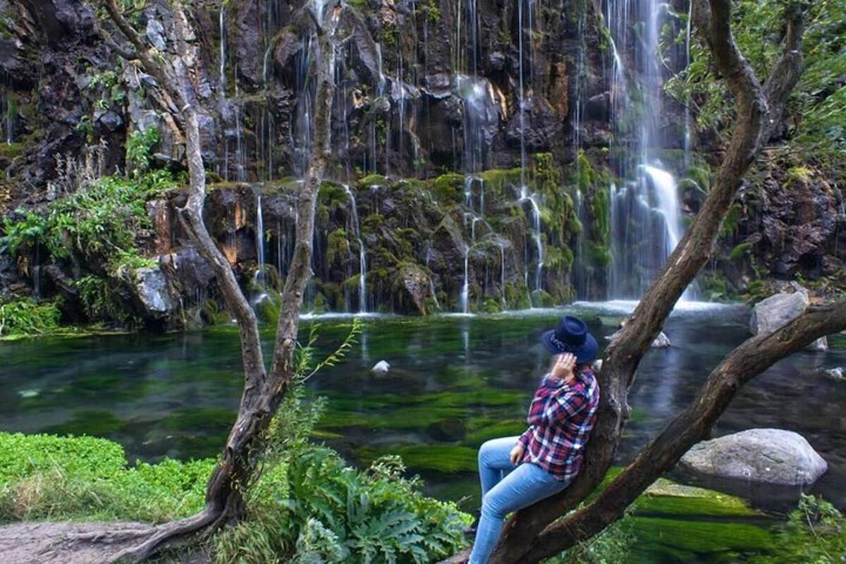 a woman sitting on a tree in front of a waterfall