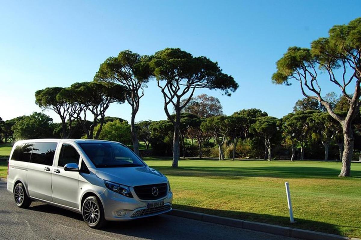 a white and gray van parked in a park