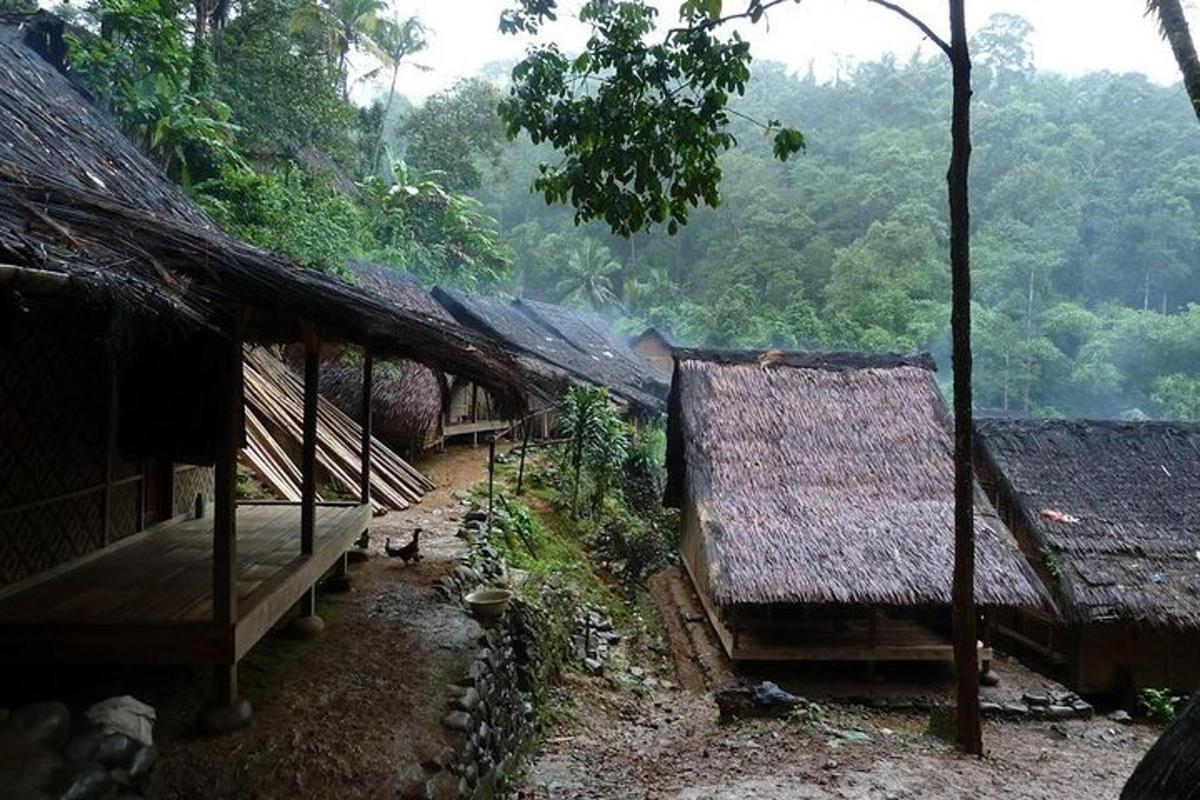 một nhóm nhà có mái tranh trong rừng