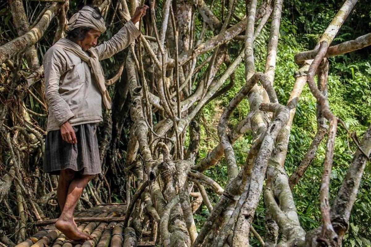 một người đàn ông đang đứng trong một cấu trúc cây