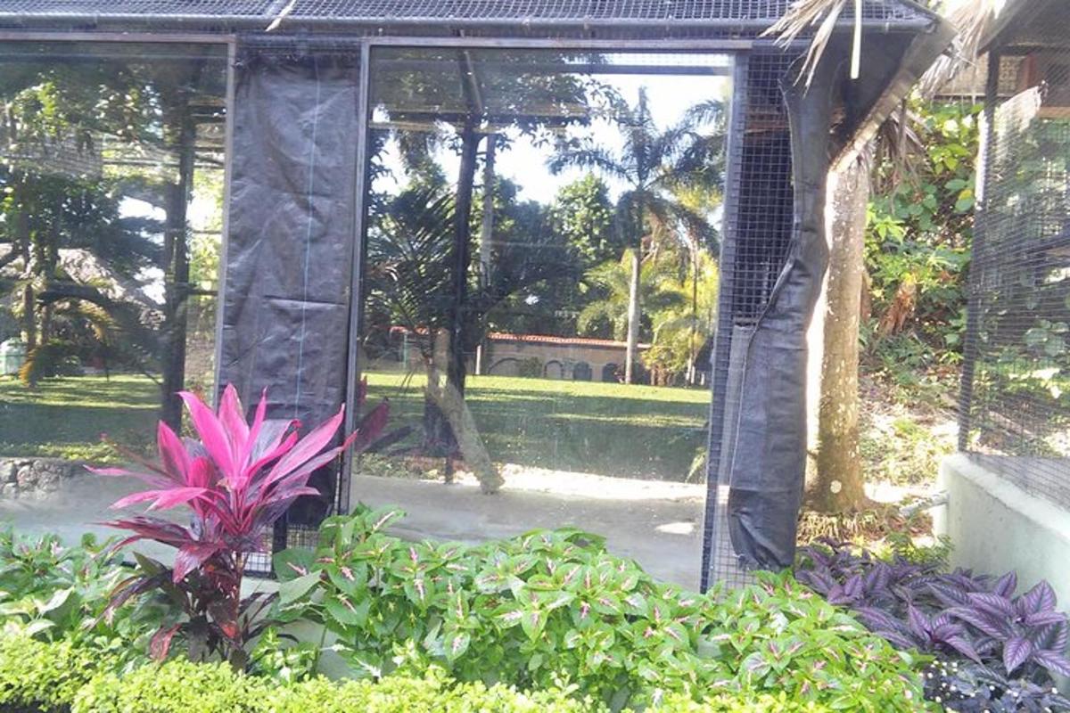Un jardín con una gran puerta de cristal con una planta.