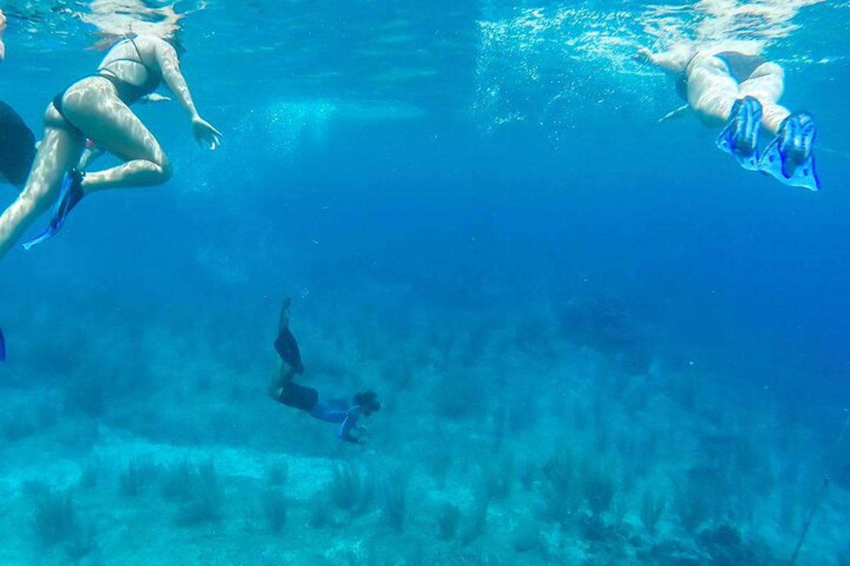 水中で泳いでいる人々のグループ