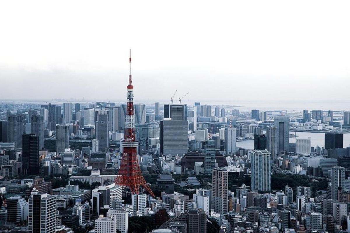 una vista di una città con la torre di Tokyo