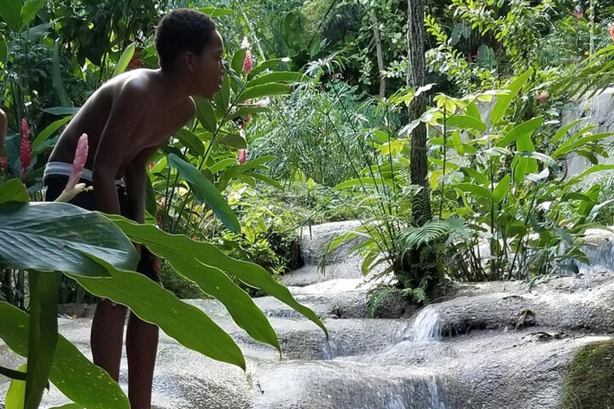 seorang budak lelaki berdiri di hadapan air terjun
