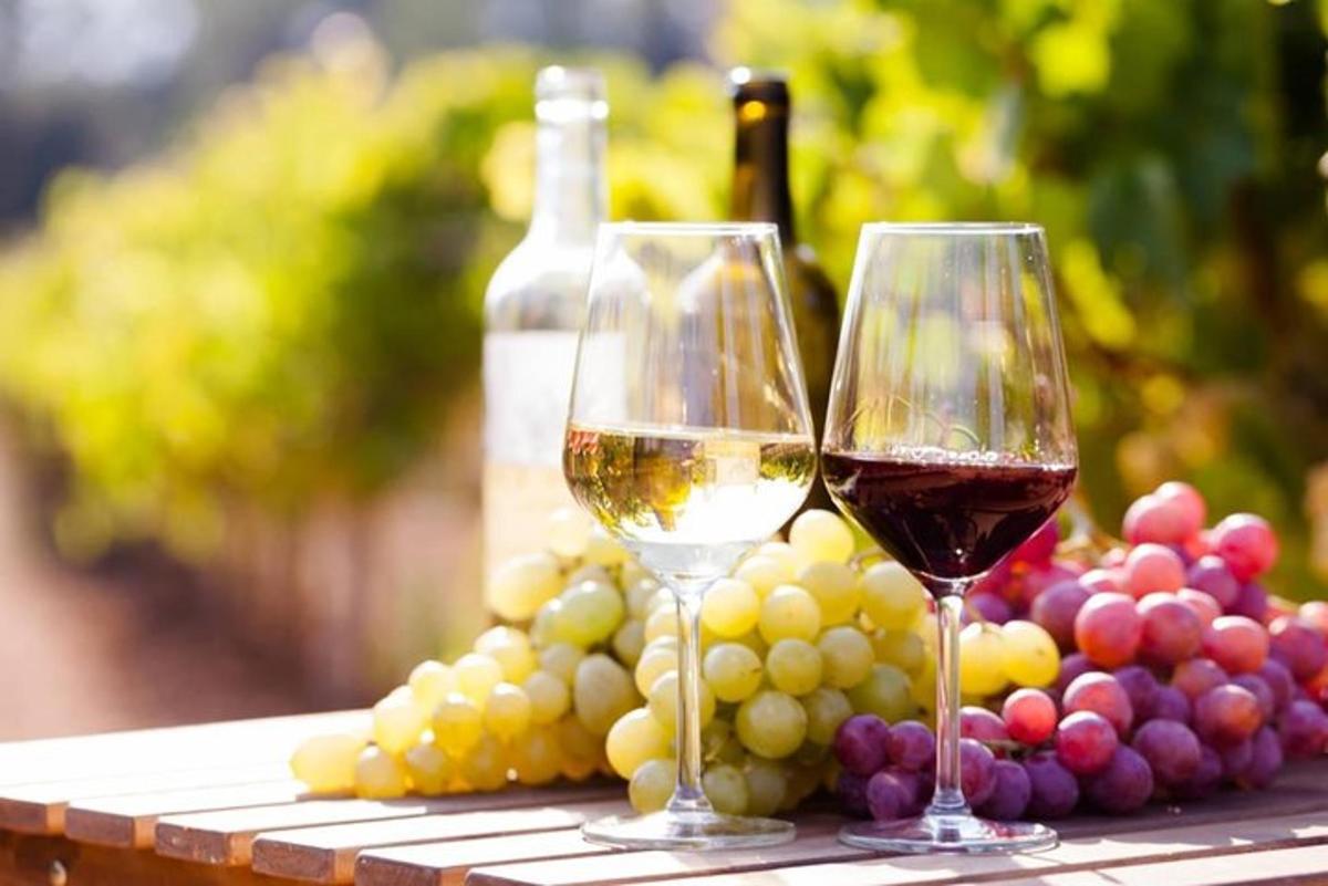 duas taças de vinho sobre uma mesa com uvas