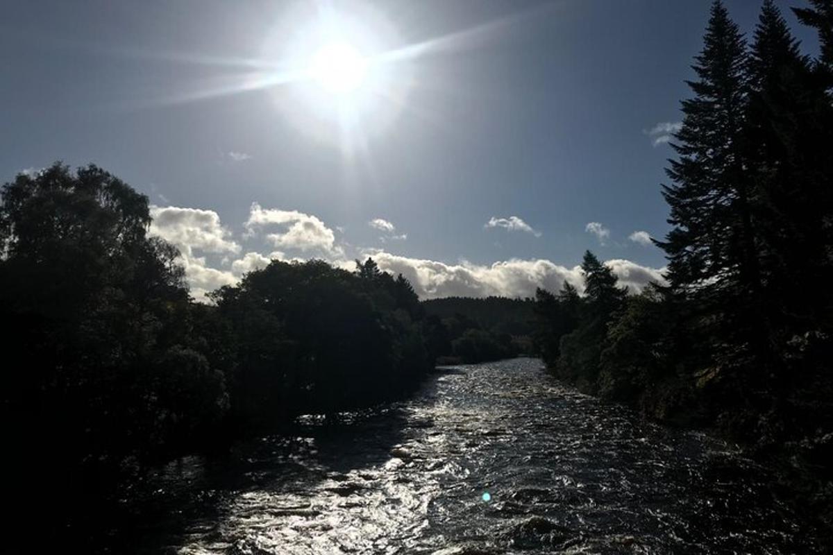 un fiume con il sole nel cielo e gli alberi