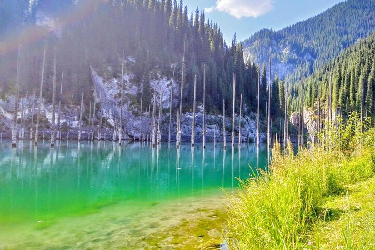 tasik hijau zamrud yang besar dengan pokok di latar belakang