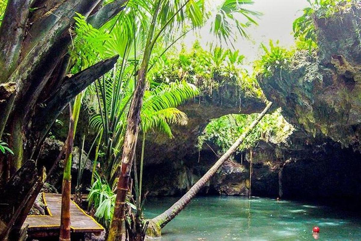 un ponte sopra un fiume con un'altalena nell'acqua