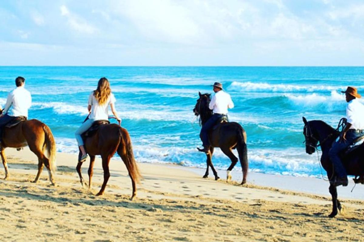 a group of people riding horses on the beach