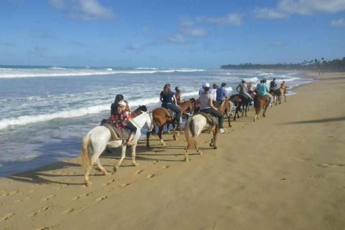 a group of people riding horses on the beach