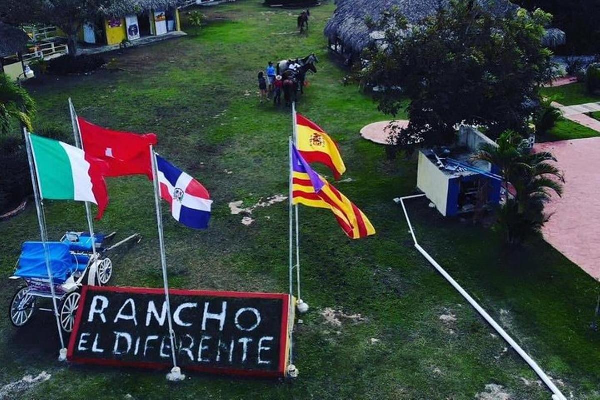a group of flags on the grass next to a sign