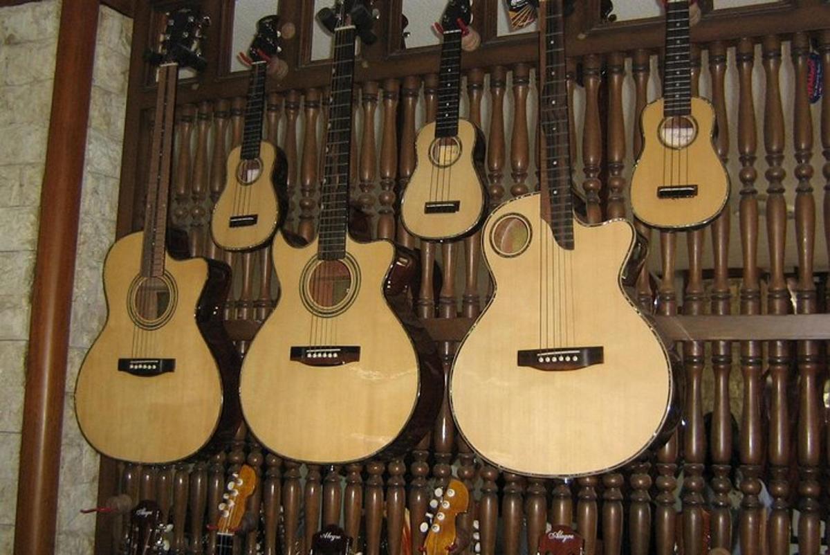 un grup de guitarres acústiques penjades a la paret