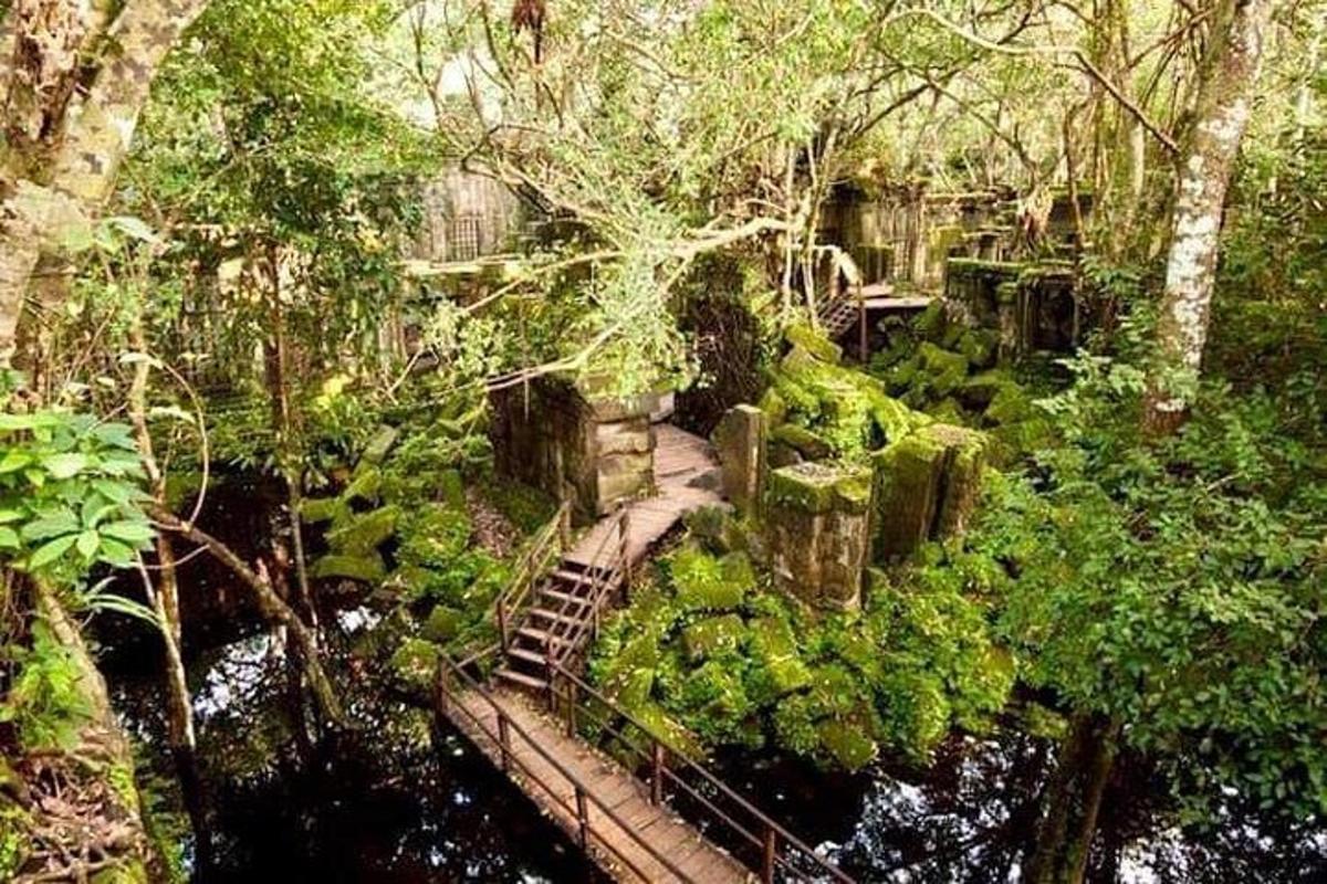 eine Treppe in einem Garten mit Bäumen und Wasser