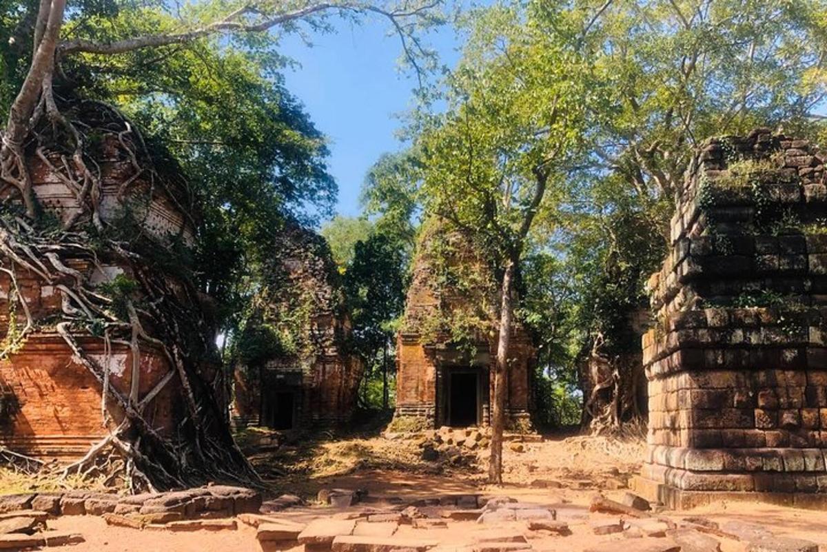Un edificio viejo y árboles en un campo.