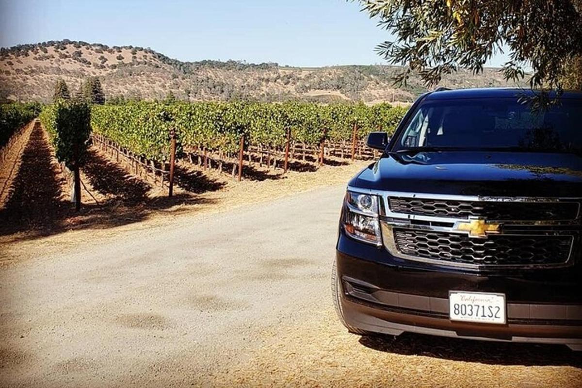 a blue truck parked in front of a vineyard