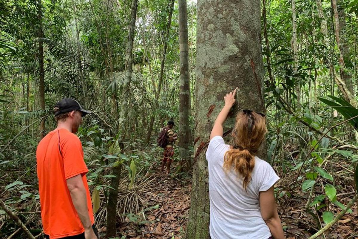 two people standing in the forest pointing at a tree