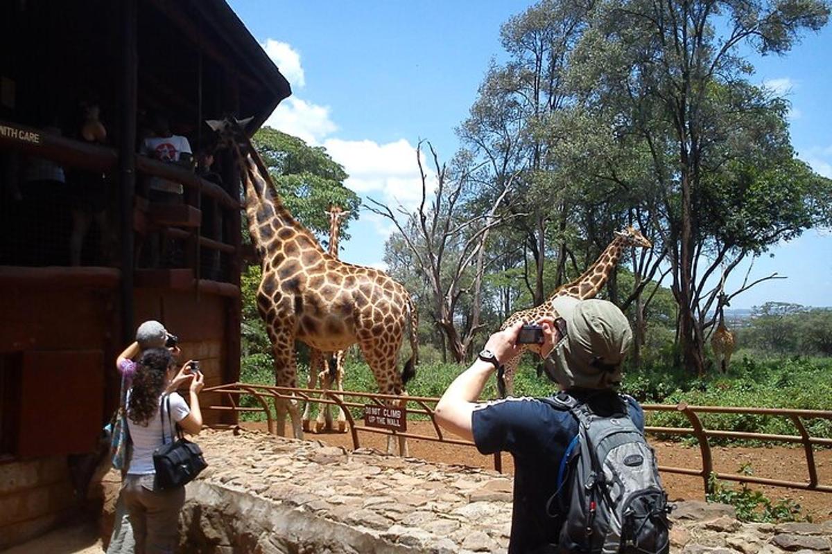 dva lidé fotí žirafy v zoo