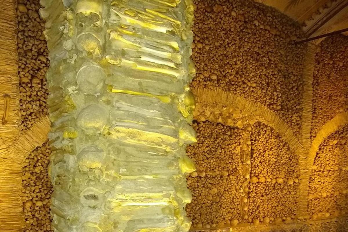 veinipudel viinamarjaseina kõrval