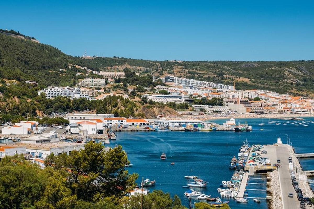 μια θέα ενός λιμανιού με βάρκες στο νερό