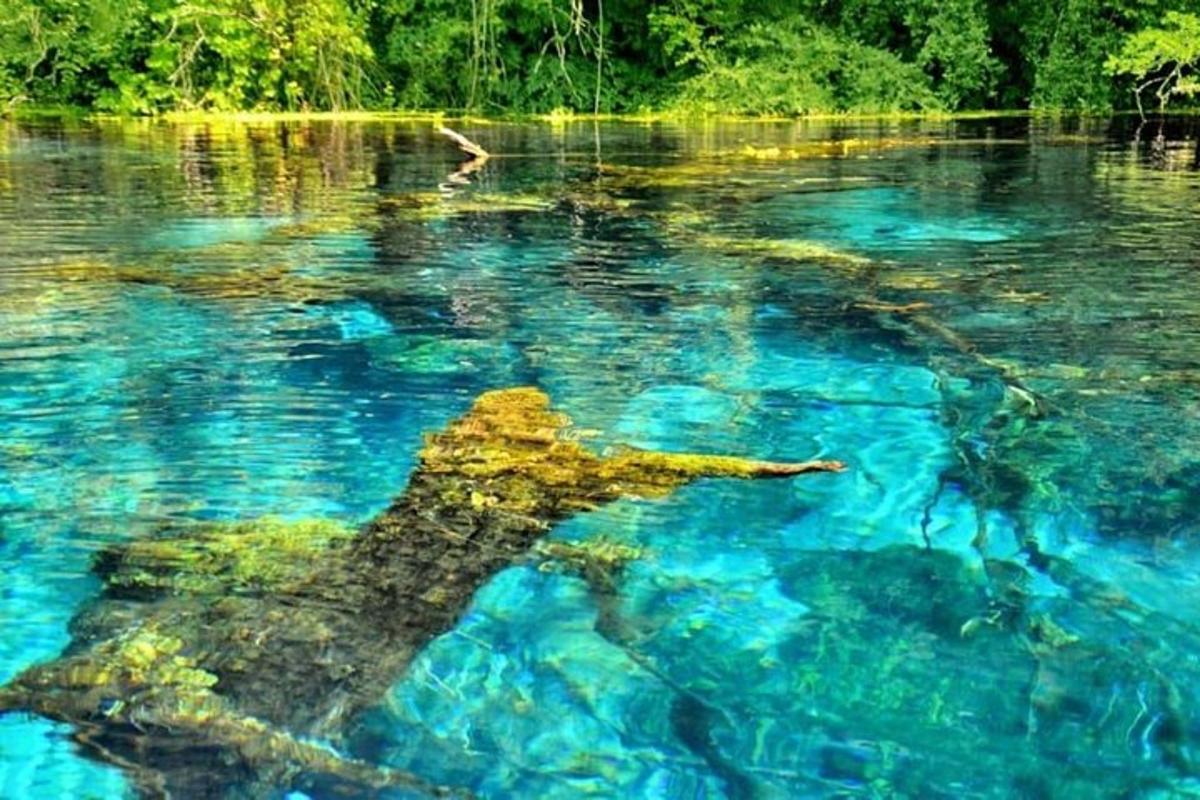 a person swimming in a body of water