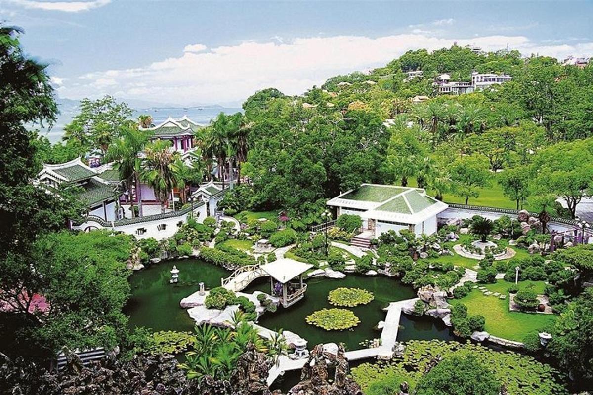 an aerial view of a garden with a pond