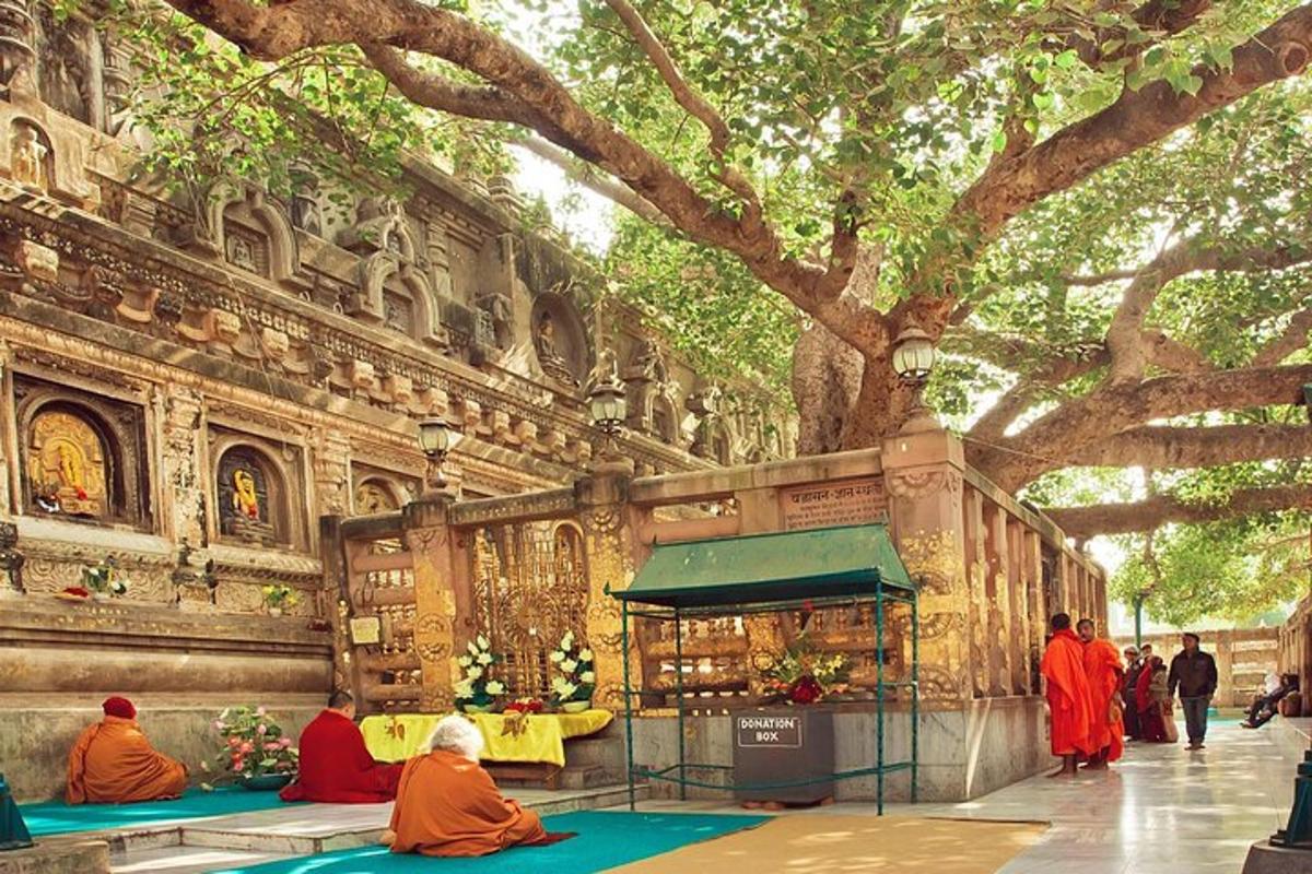 a group of monks sitting in front of a building with a tree