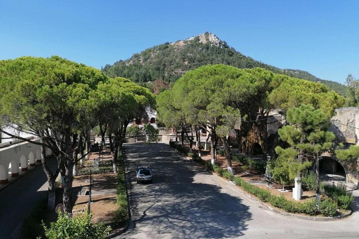 ένας δρόμος με δέντρα και ένα βουνό στο βάθος