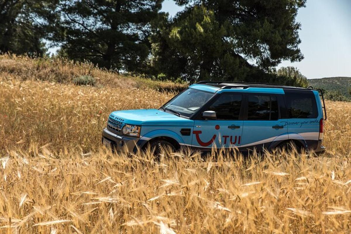 ένα μπλε φορτηγό παρκαρισμένο σε ένα χωράφι με ψηλό γρασίδι