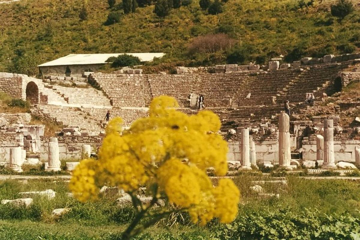 a yellow flower in front of aiseum
