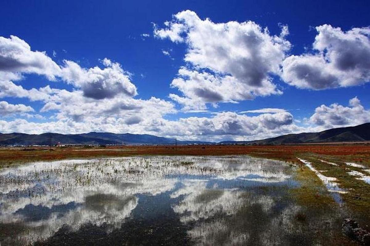 a large body of water in a field with clouds