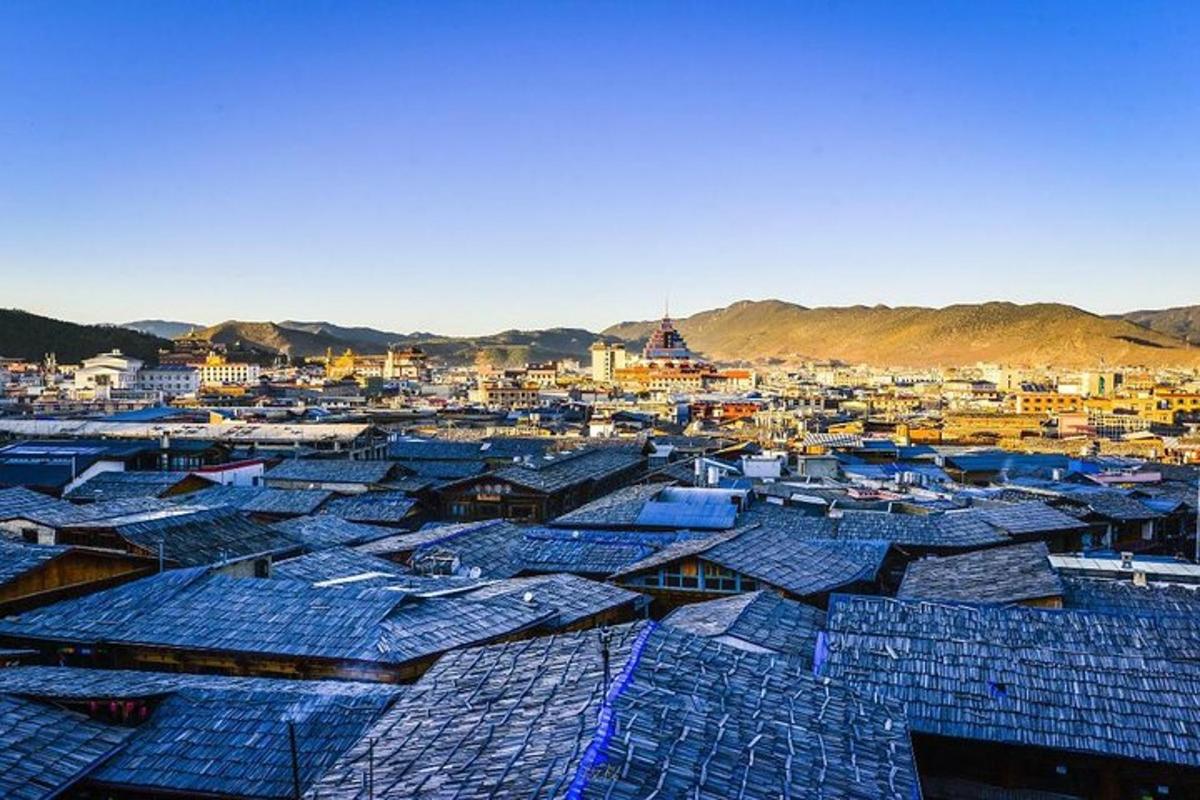 a view of a city with lots of blue roofs