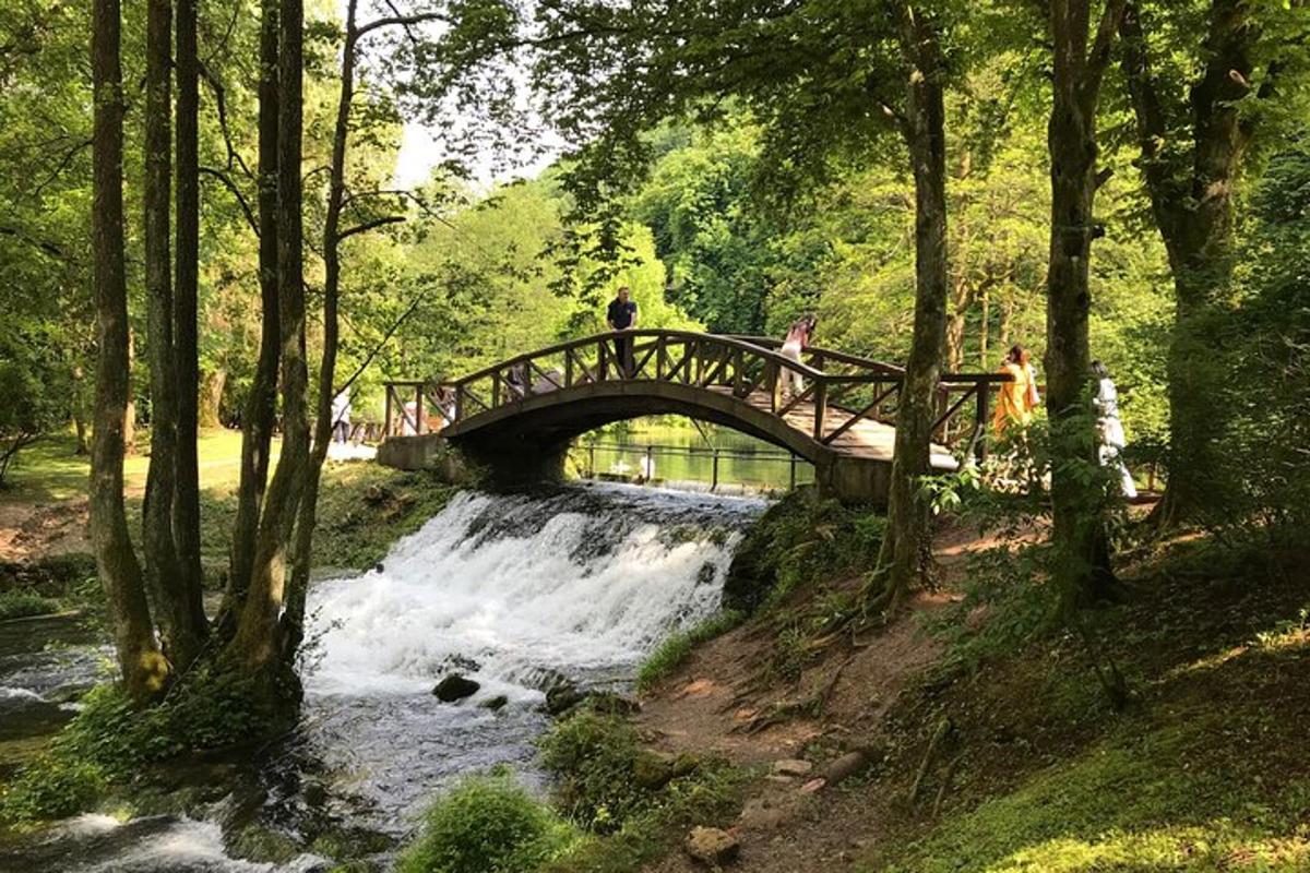 folk som går over en bro over en foss