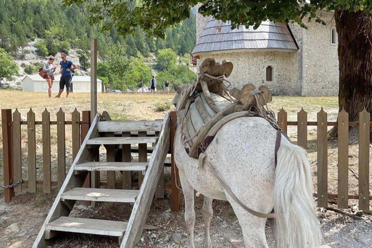 柵の横に立つ馬の像