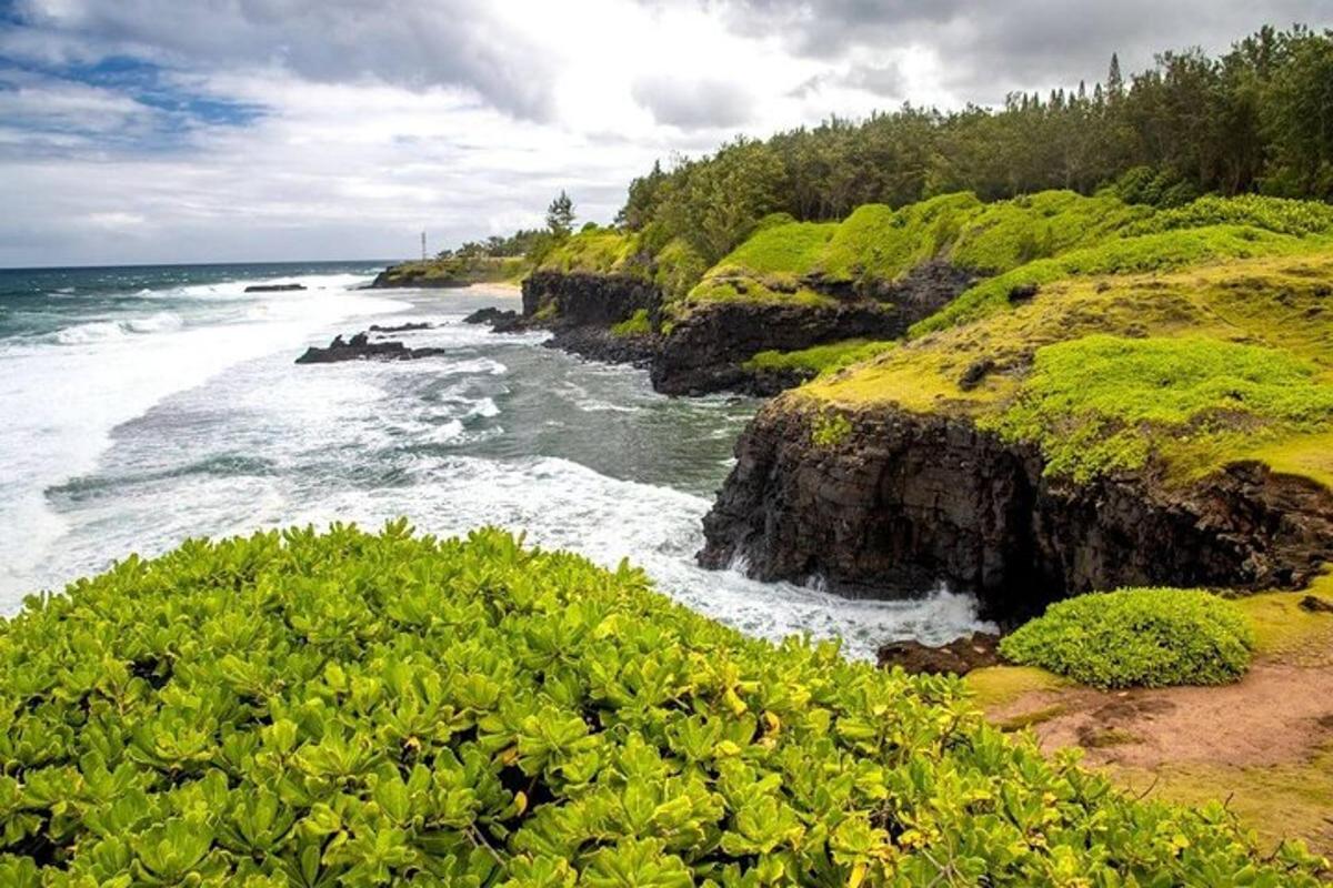 uma vista do oceano de uma praia com plantas