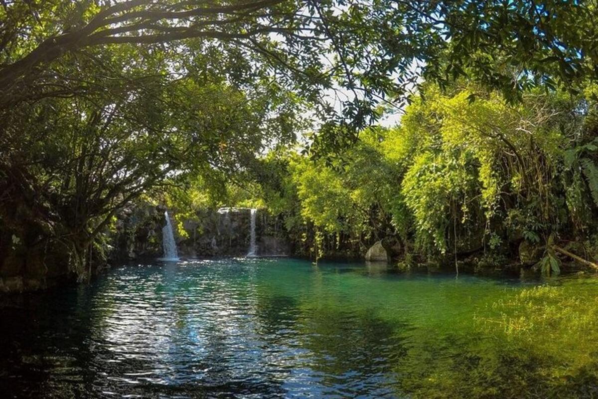 uma piscina de água com uma cachoeira e árvores