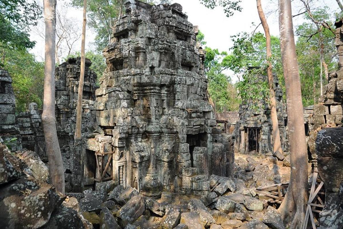 um antigo edifício de pedra em uma floresta de árvores