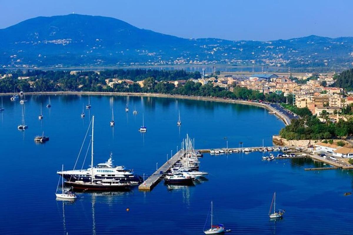 a group of boats are docked in a harbor