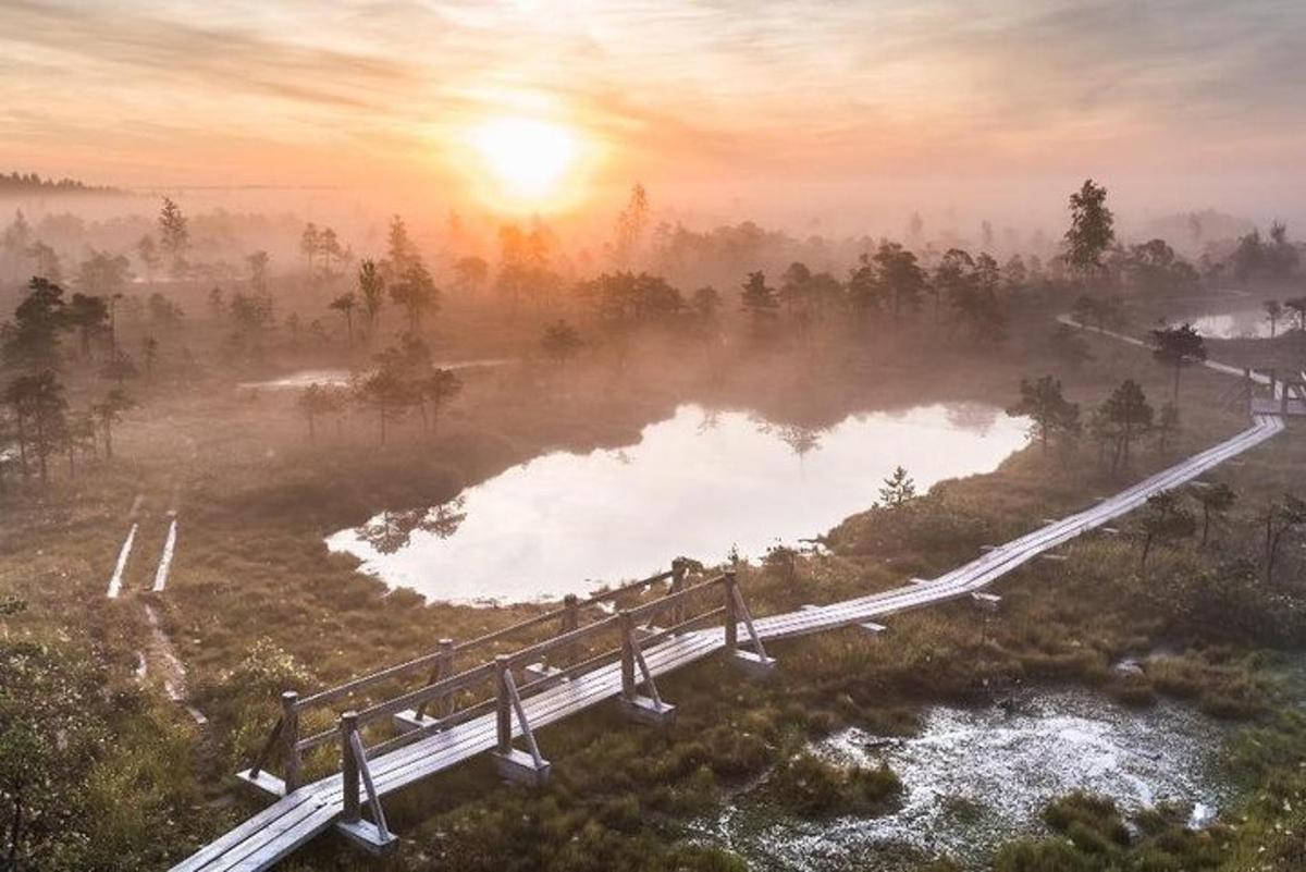 a bridge over a body of water with the sun setting