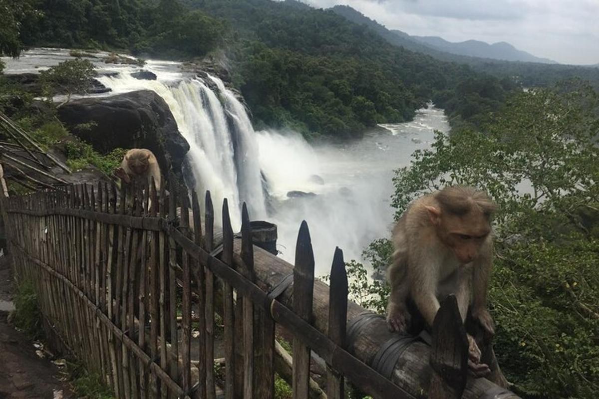 two monkeys sitting on a fence in front of a waterfall