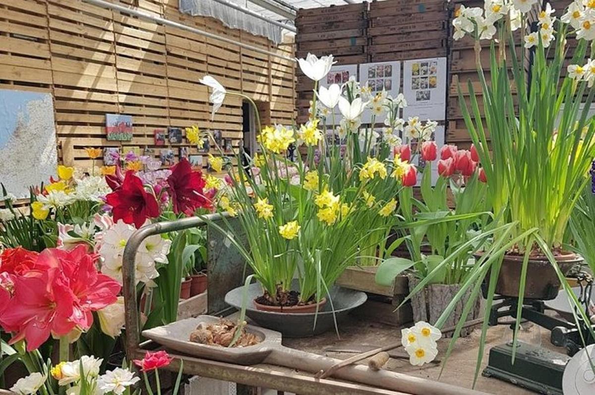 ein Strauß verschiedener Blumenarten in Töpfen