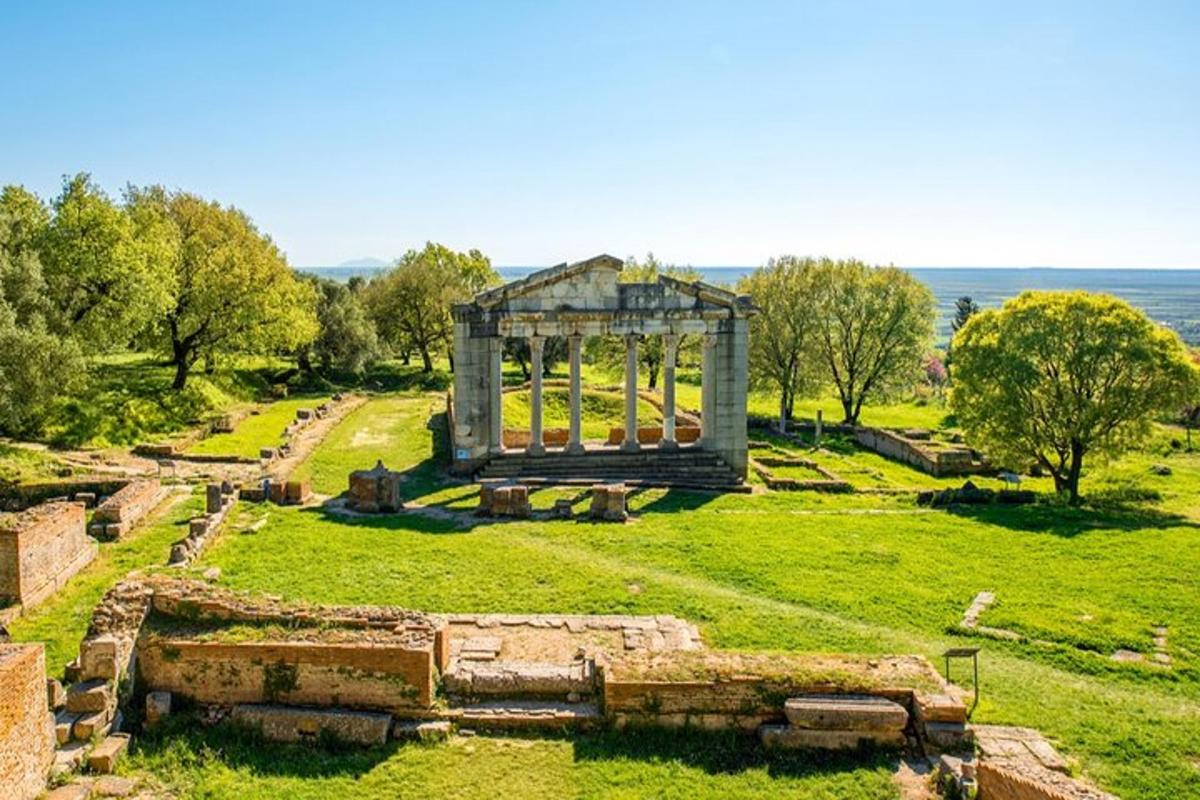 polje z gazebo na sredini