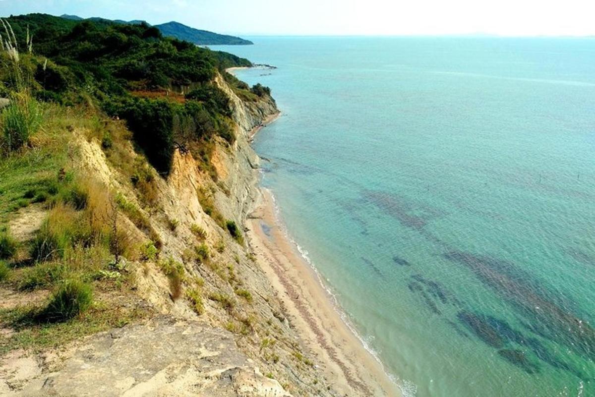 een luchtfoto van een strand en de oceaan