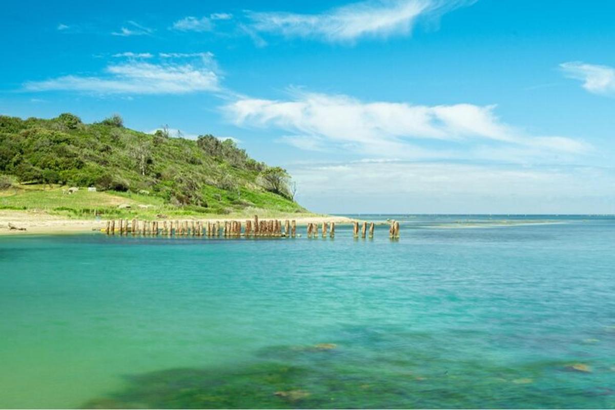 vodno telo s plažo in hribom
