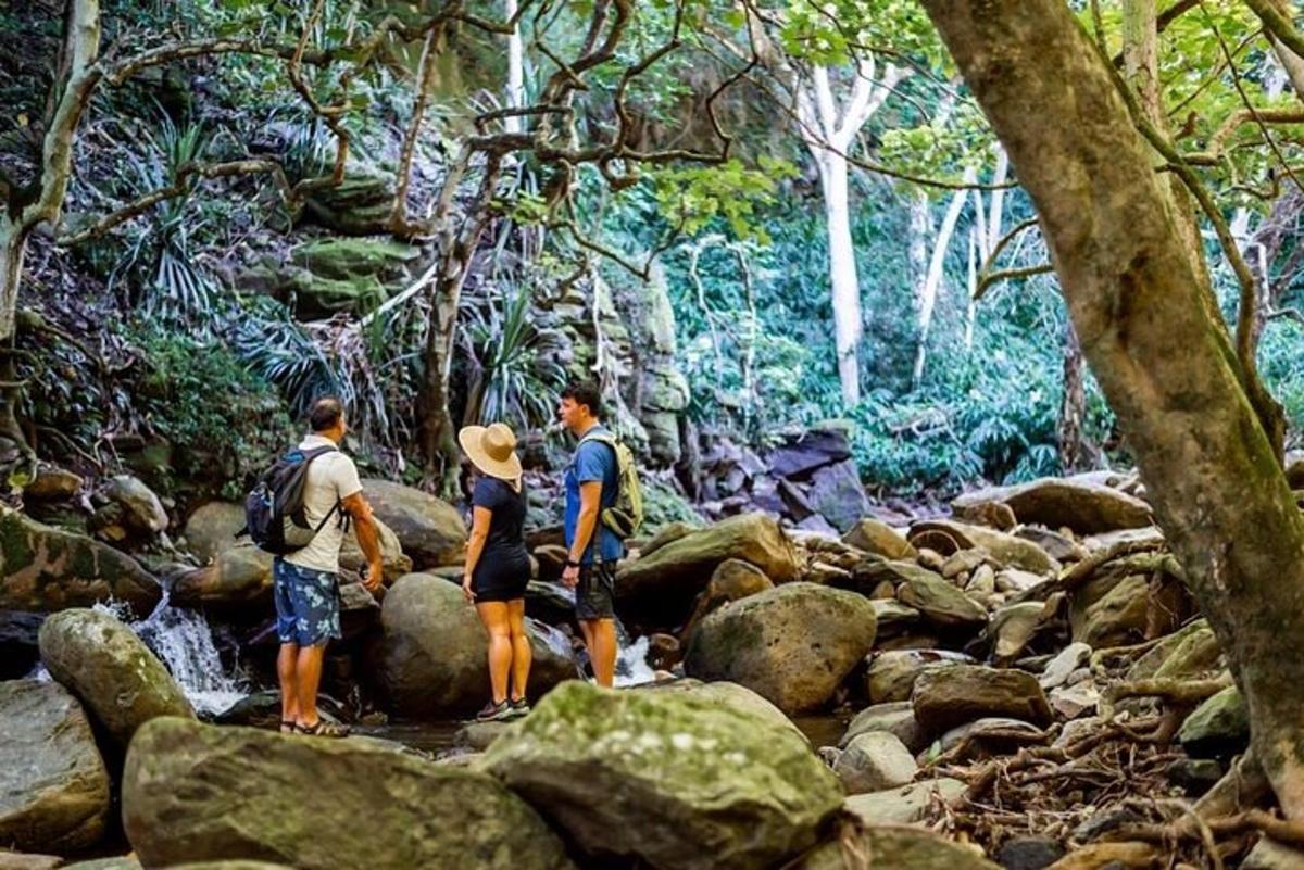 tre persone in piedi sulle rocce in un ruscello in una foresta