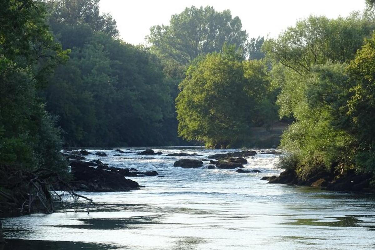 reka s skalami in drevesi ob strani