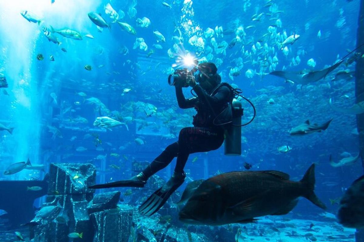 eine Frau, die ein Foto von einem Fisch in einem Aquarium macht
